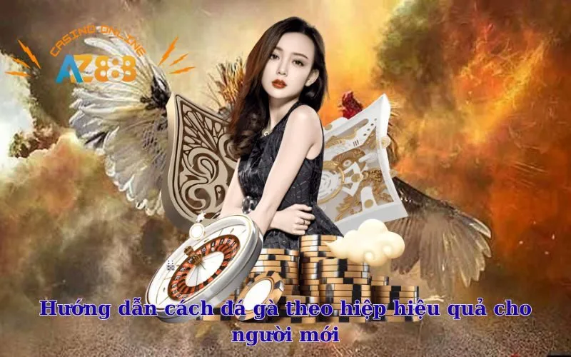 Hướng dẫn cách đá gà theo hiệp hiệu quả cho người mới