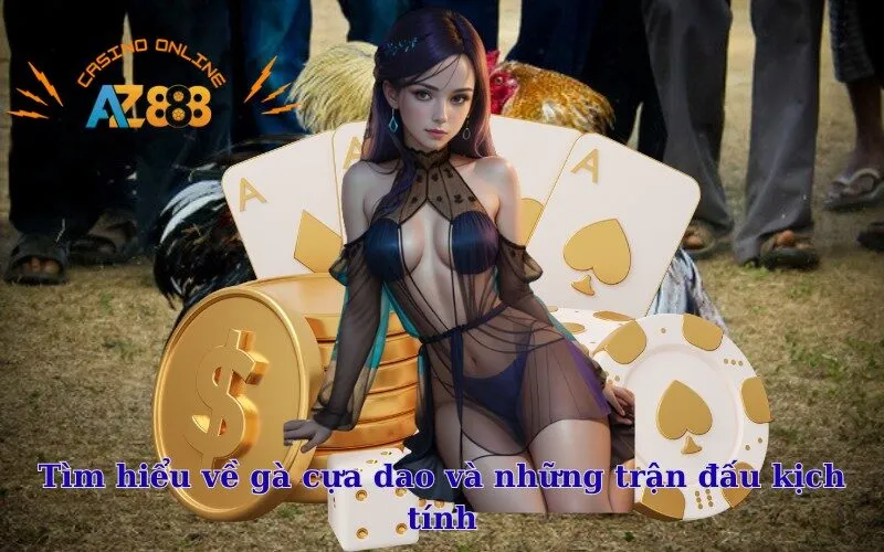 Tìm hiểu về gà cựa dao và những trận đấu kịch tính